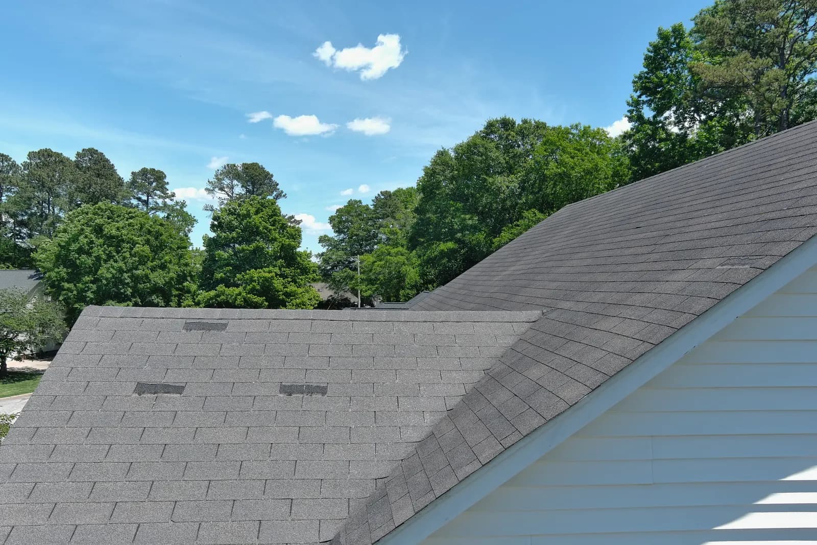 Close view of an asphalt shingle roof installed by Rhino Roofing